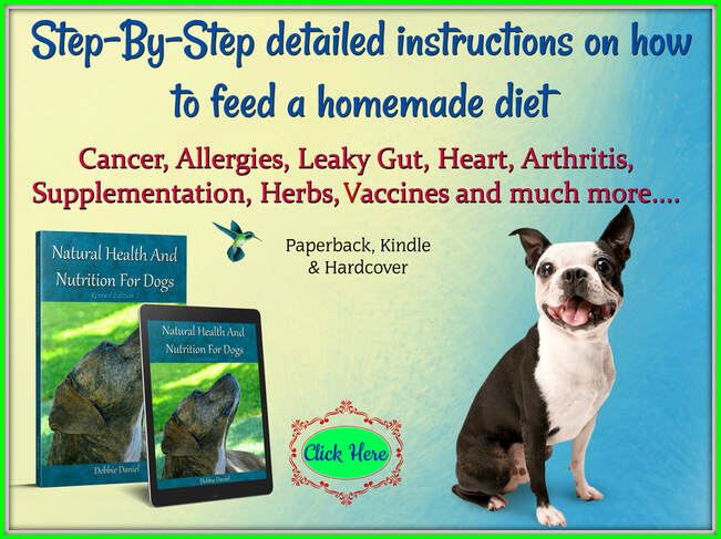 Dont Forget Your Dogs Diet With Arthritis Canine Arthritis And Joint